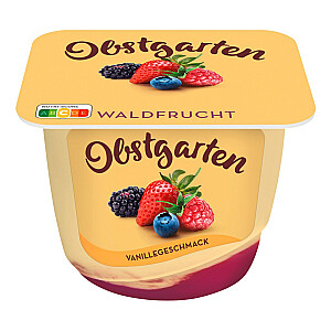 Danone Obstgarten Vanillegenuss Waldbeere