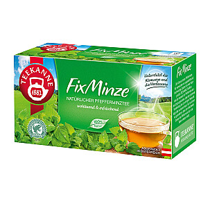 Teekanne Fixminze