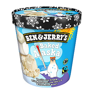 Ben & Jerry's Baked Alaska