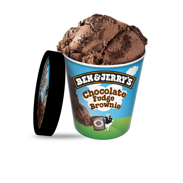 Ben & Jerry's Chocolate Fudge Brownie